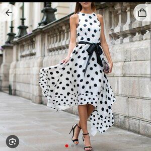 Coast Polka Dot Dress
